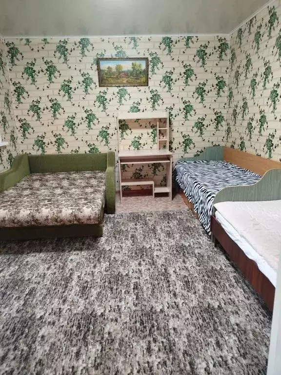 Комната Оренбургская область, Соль-Илецк ул. Александрова, 5 - Фото 1