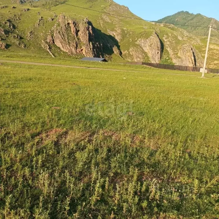 Участок в Алтай, Чемальский район, с. Куюс Центральная ул. (12.0 сот.) - Фото 0