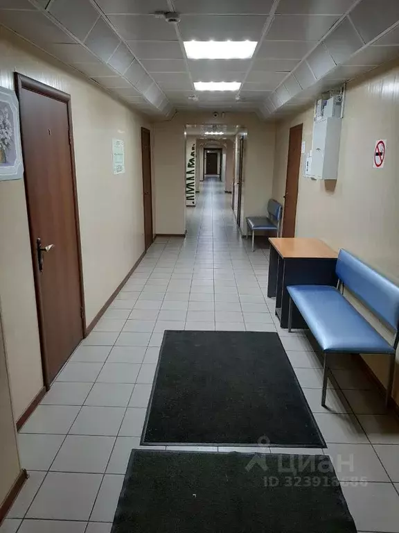 Офис в Челябинская область, Челябинск Пионерская ул., 7Б (28 м) - Фото 2