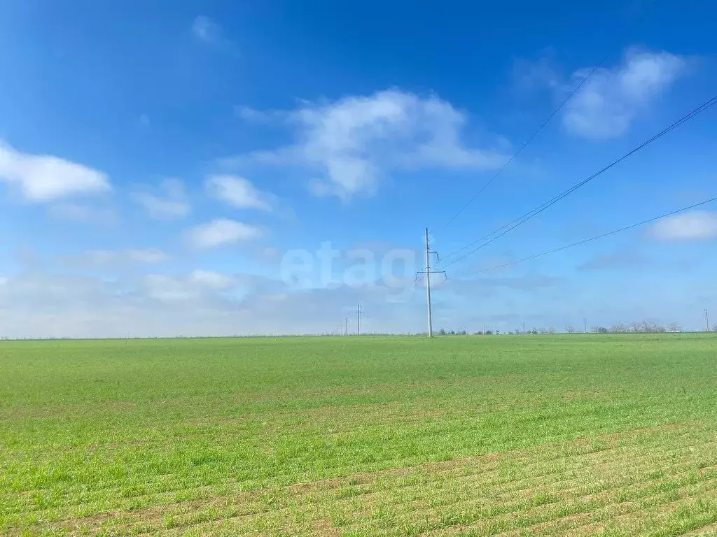 Участок в Крым, Сакский район, с. Молочное  (60.0 сот.) - Фото 0
