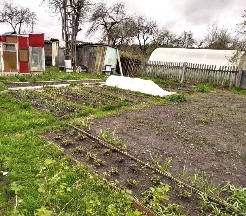 Дом в Брянская область, Фокино Мичуринец-1 садоводческое товарищество, ... - Фото 1