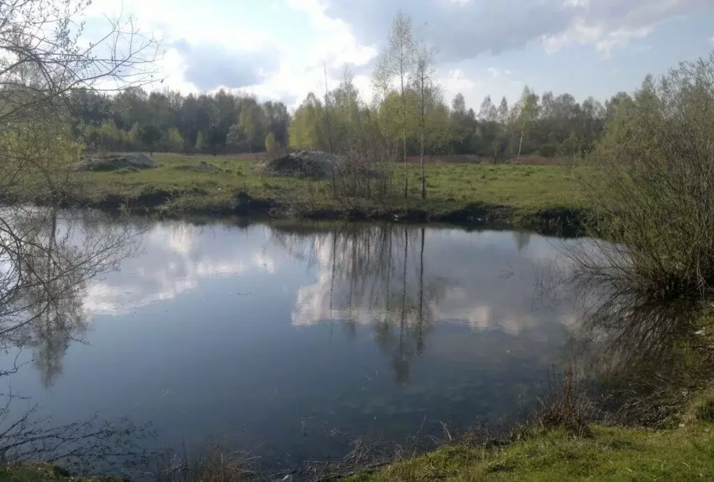 Участок в Калининград, СНТ Чайка, Ново-Озёрная улица (5 м) - Фото 0