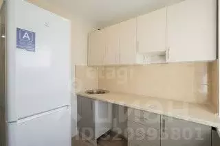 2-к кв. Татарстан, Набережные Челны пос. Сидоровка, 30А (40.7 м) - Фото 0