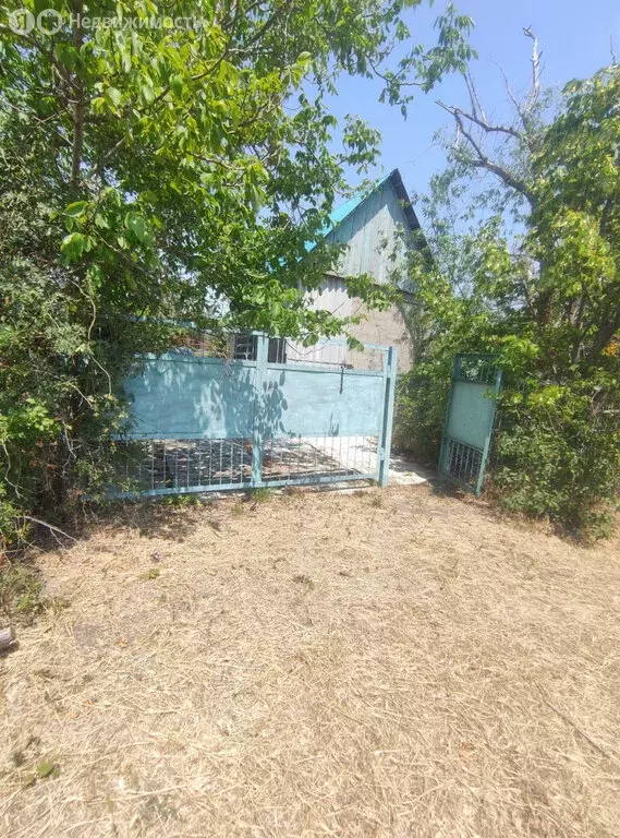 Дом в Азовский район, село Кулешовка (20 м) - Фото 1