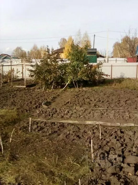 Участок в Новосибирская область, Новосибирский район, Барышевский ... - Фото 1