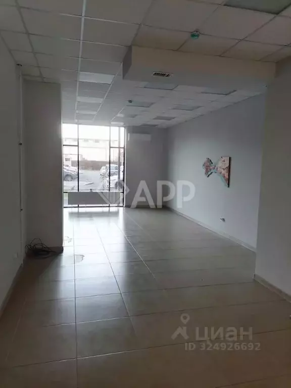 Помещение свободного назначения в Краснодарский край, Анапа ул. ... - Фото 2