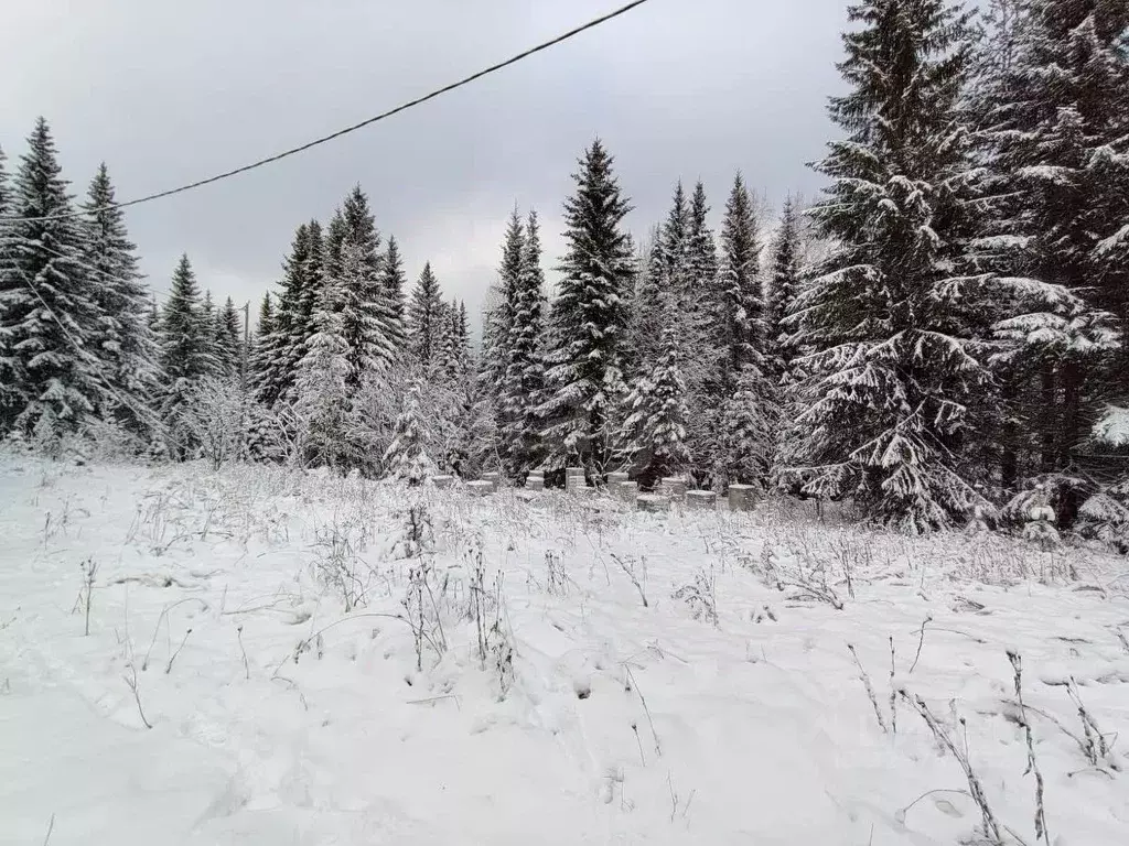 Участок в Свердловская область, Нижний Тагил муниципальный округ, пос. ... - Фото 1