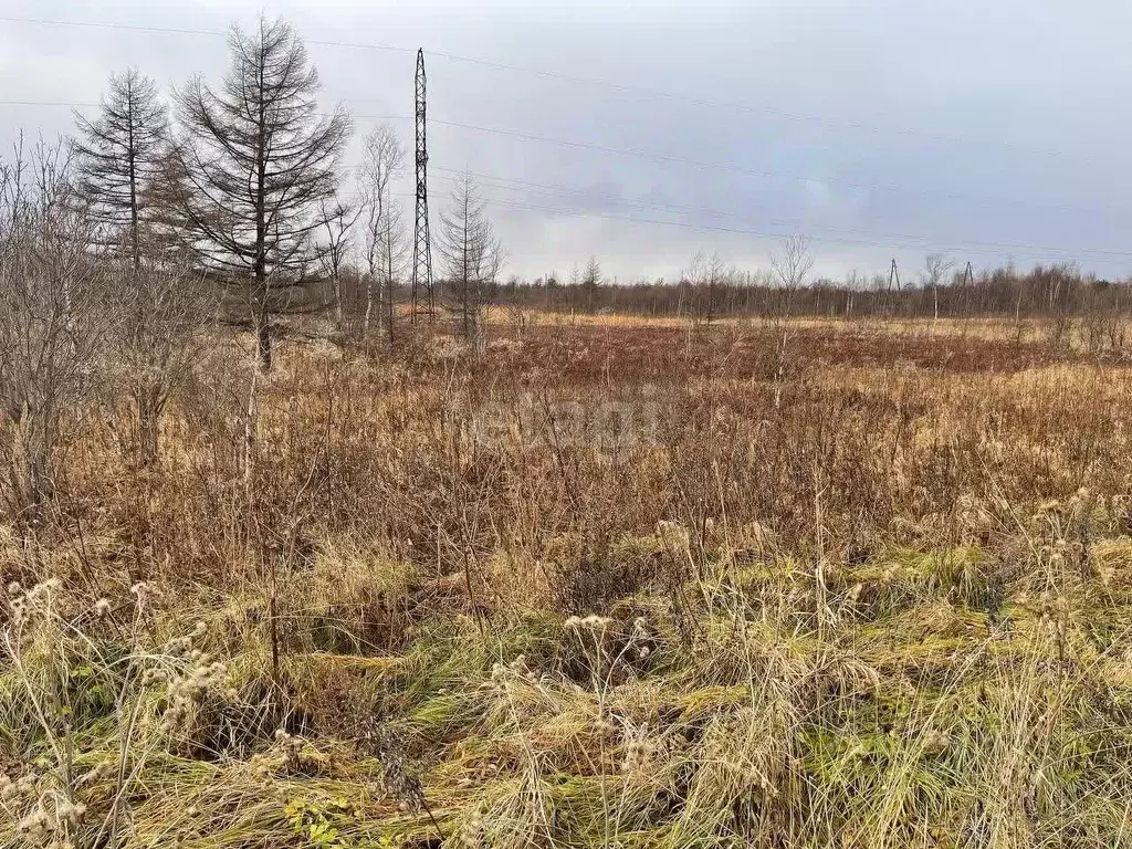 Участок в Сахалинская область, Анивский городской округ, с. Мицулевка  ... - Фото 0
