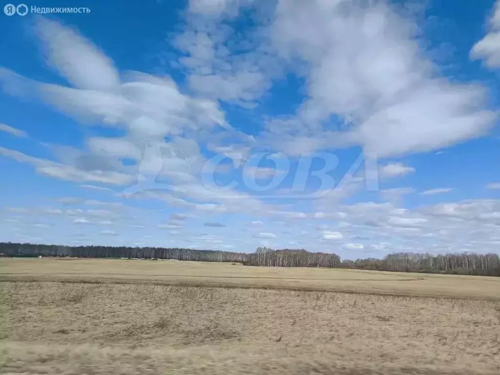 Участок в Тюмень, садовое товарищество Поле Чудес-2 (13 м) - Фото 1