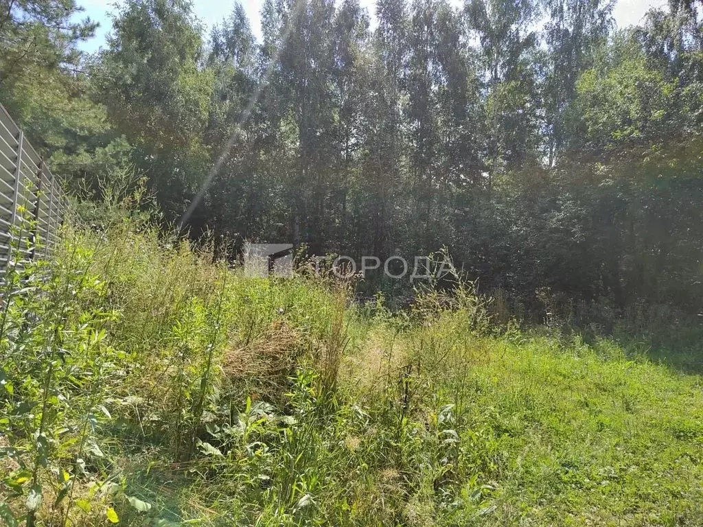 Участок в Новосибирская область, Новосибирск  (6.5 сот.) - Фото 1