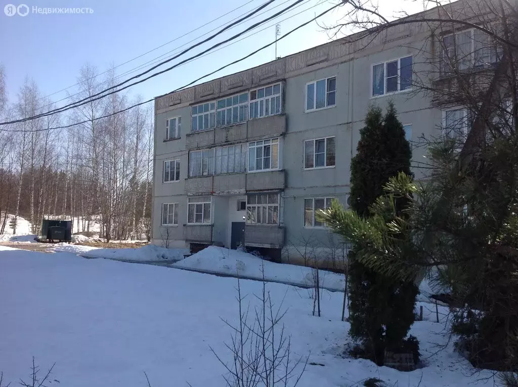 3-комнатная квартира: посёлок городского типа Калашниково, Лесная ... - Фото 2