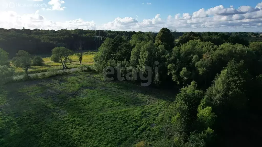 Участок в Калининградская область, Гурьевский муниципальный округ, ... - Фото 1