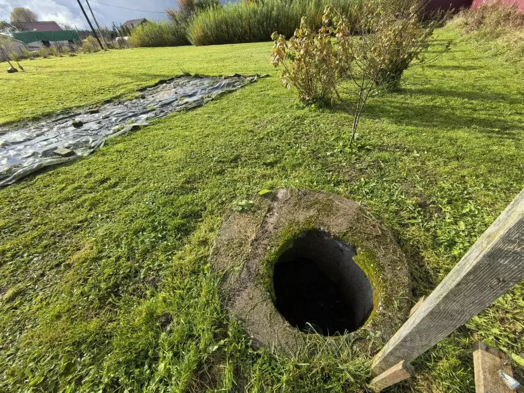 Участок в Ленинградская область, Волосовский район, Бегуницкое с/пос, ... - Фото 2
