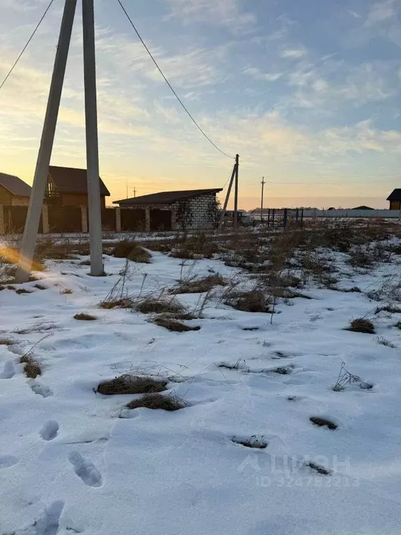 Участок в Новосибирская область, Новосибирский район, Морской ... - Фото 2