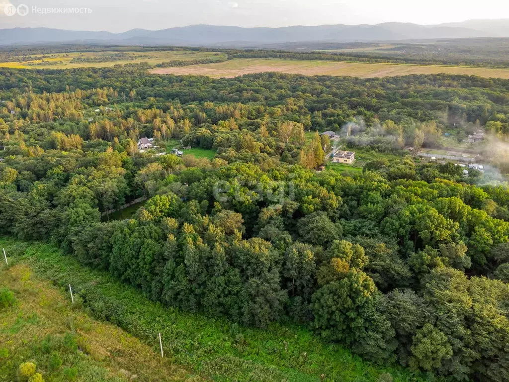 Участок в Хабаровский район, село Корсаково-2 (40 м) - Фото 0