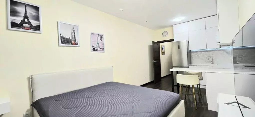 Студия Санкт-Петербург ул. Тосина, 6 (24.4 м) - Фото 2