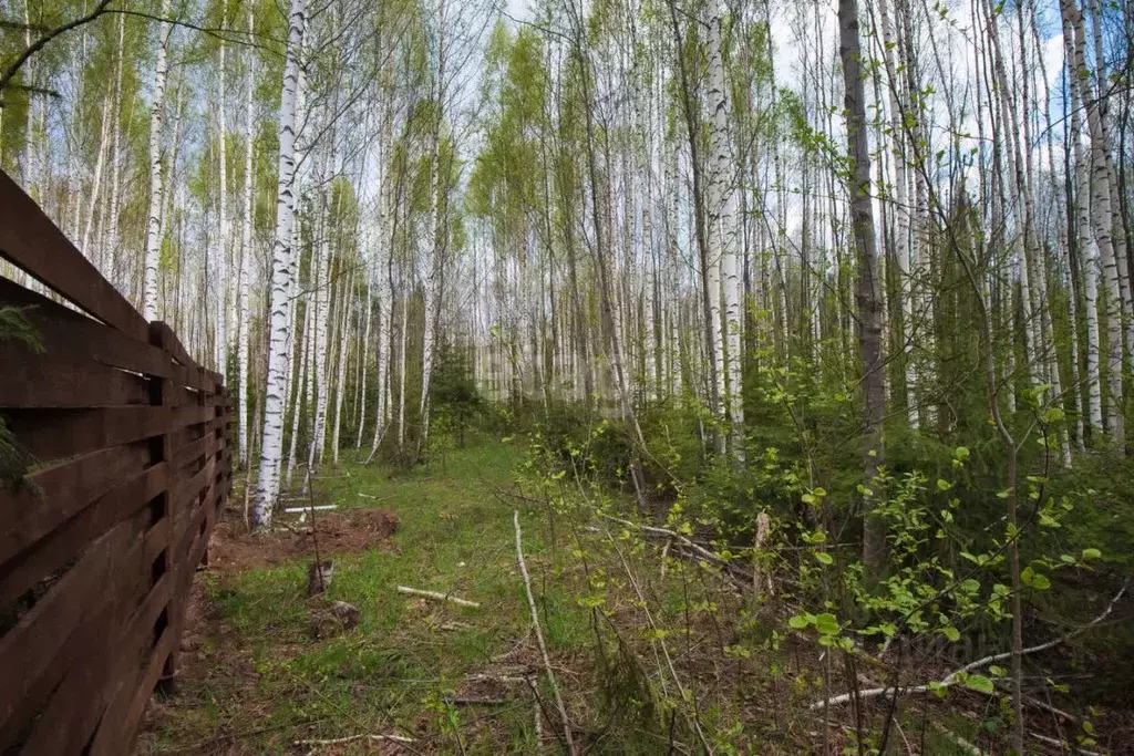 Участок в Удмуртия, Завьяловский район, д. Хохряки пер. Вольный (10.0 ... - Фото 1