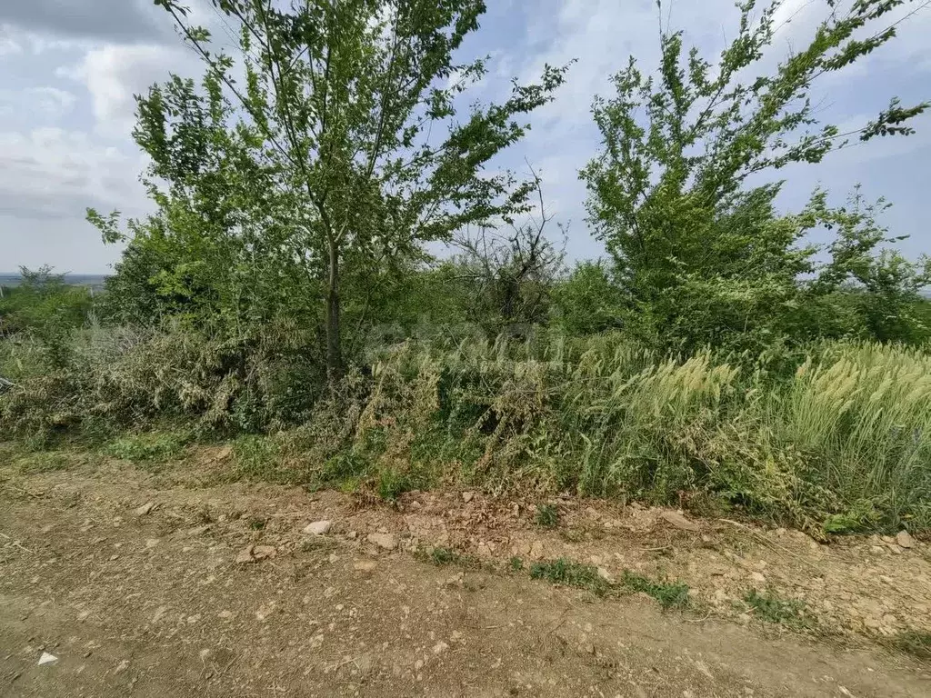 Участок в Ростовская область, Родионово-Несветайский район, ... - Фото 2