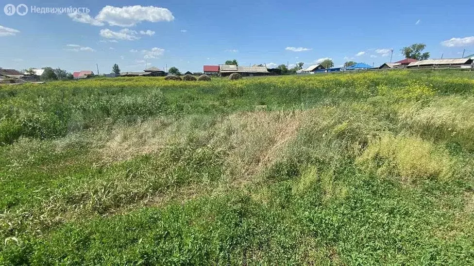 Участок в Исетский район, село Бобылево (13 м) - Фото 0