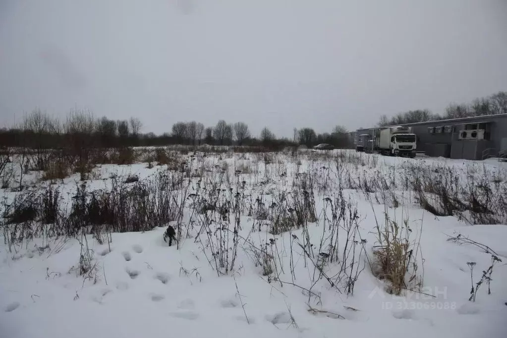 Участок в Вологодская область, Шекснинский муниципальный округ, д. ... - Фото 1