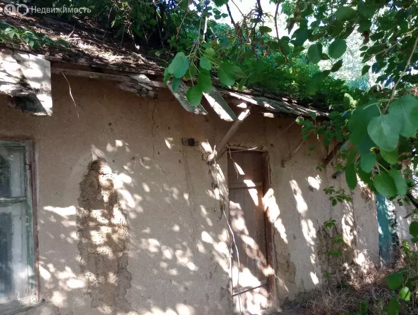 Дом в Натальевка, Пионерская улица, 20 (104 м) - Фото 0
