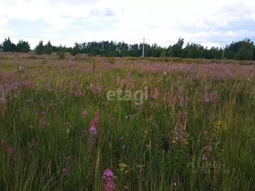 Участок в Ульяновская область, Ульяновск городской округ, с. ... - Фото 1