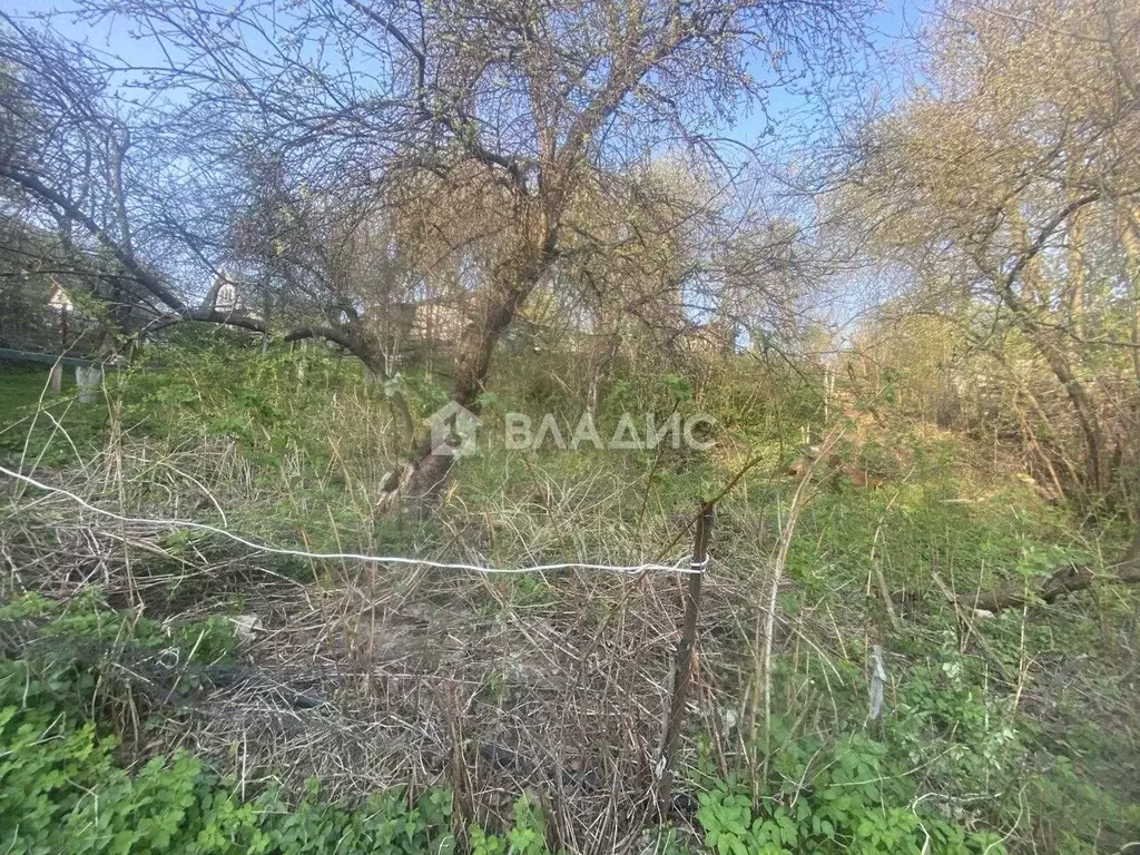 Участок в Нижегородская область, Нижний Новгород Родник садоводческое ... - Фото 0
