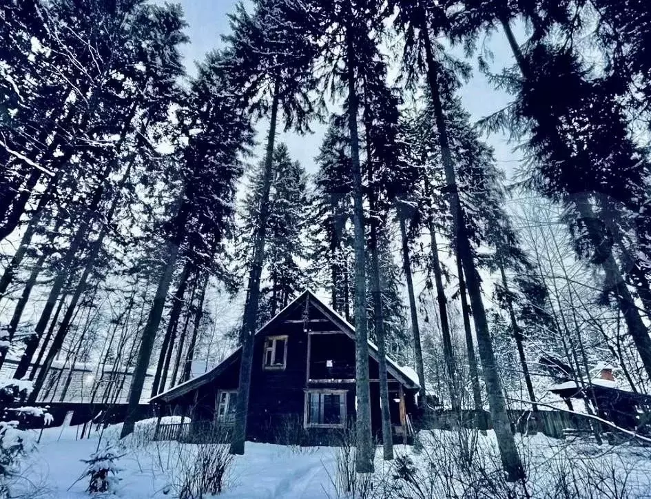 Дом в Московская область, Мытищи городской округ, пос. Трудовая ул. ... - Фото 1