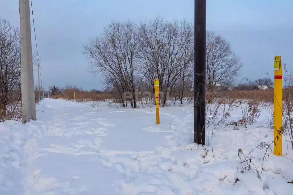 Участок в Хабаровский край, Хабаровск Виктория садовое товарищество, ... - Фото 1