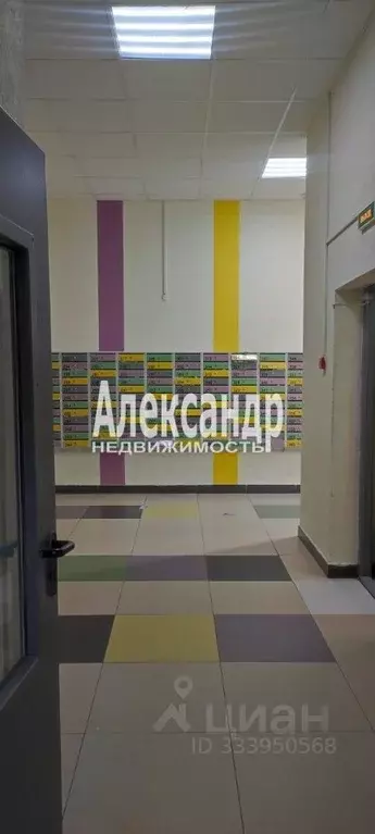 Студия Ленинградская область, Мурино Всеволожский район, бул. ... - Фото 1