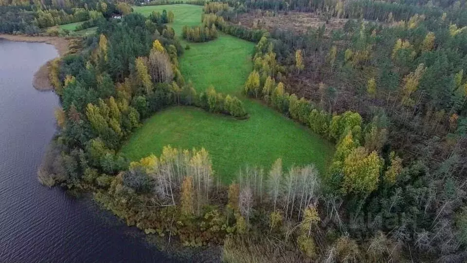 Участок в Калужская область, Хвастовичский район, Подбужье с/пос, Парк ... - Фото 2