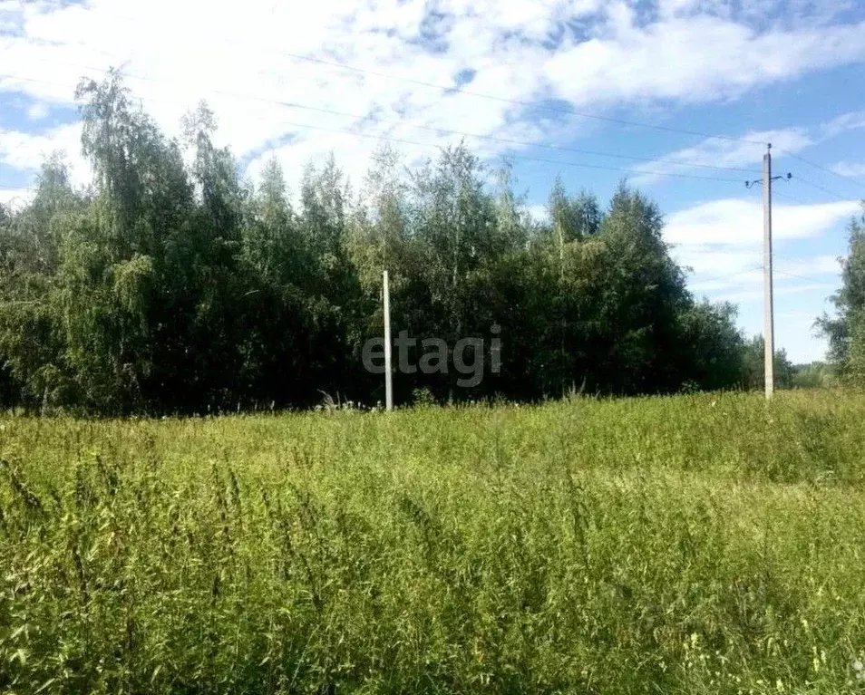 усмань дом врача филькенштейна. усмань усманский район. усмань улица октябрьская. девица усманский район. липецкая область усманский район село девица улица кубанская 24.