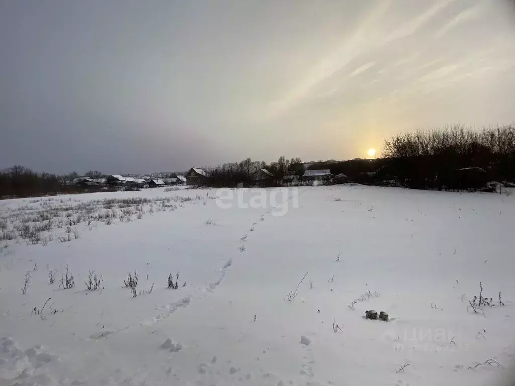 Участок в Пензенская область, Пензенский район, Засечный сельсовет, с. ... - Фото 1