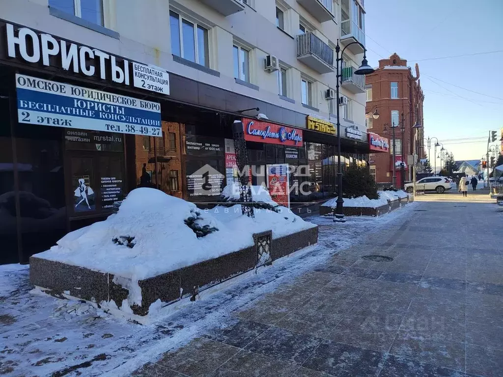 Помещение свободного назначения в Омская область, Омск ул. Чокана ... - Фото 0