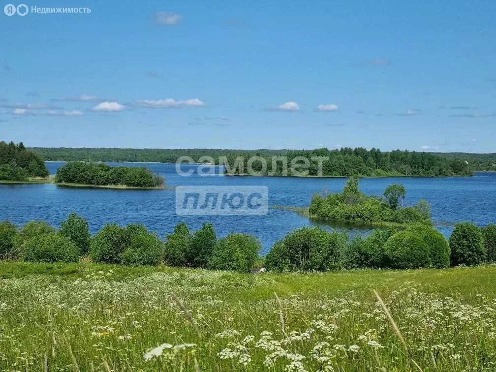 Участок в Вологодская область, Кирилловский муниципальный округ, село ... - Фото 2