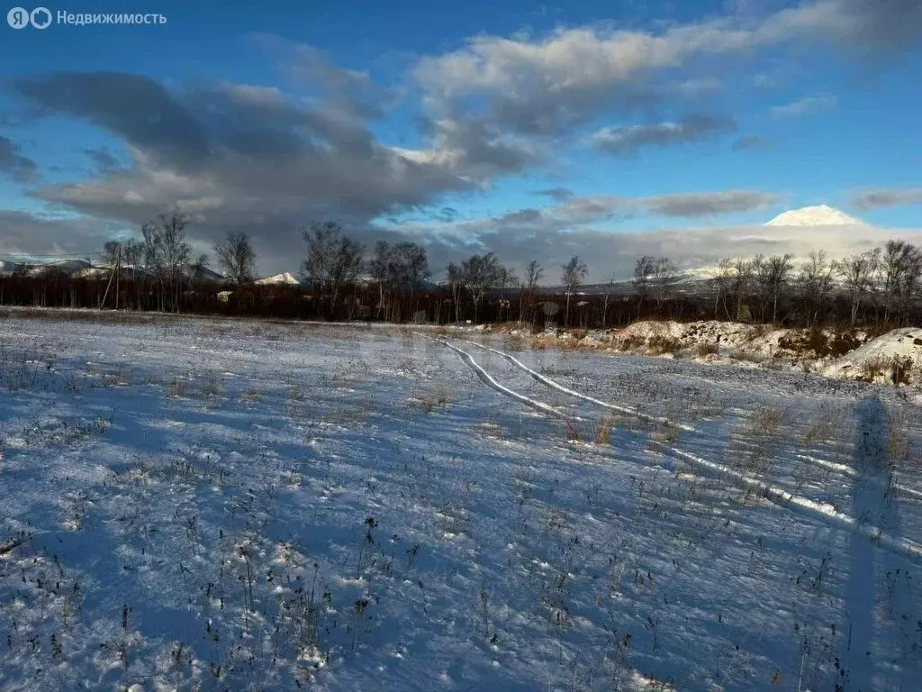 Участок в Камчатский край, Елизовский муниципальный округ, СНТ Рыбак ... - Фото 2