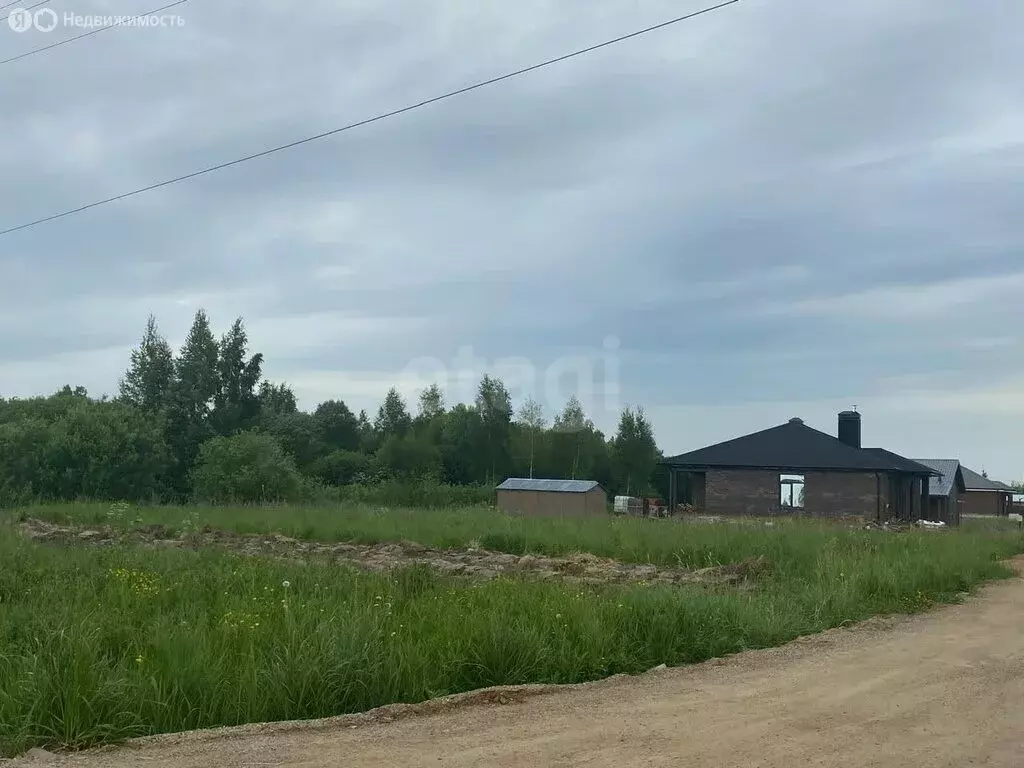 Участок в Красносельский район, Боровиковское сельское поселение, ... - Фото 0