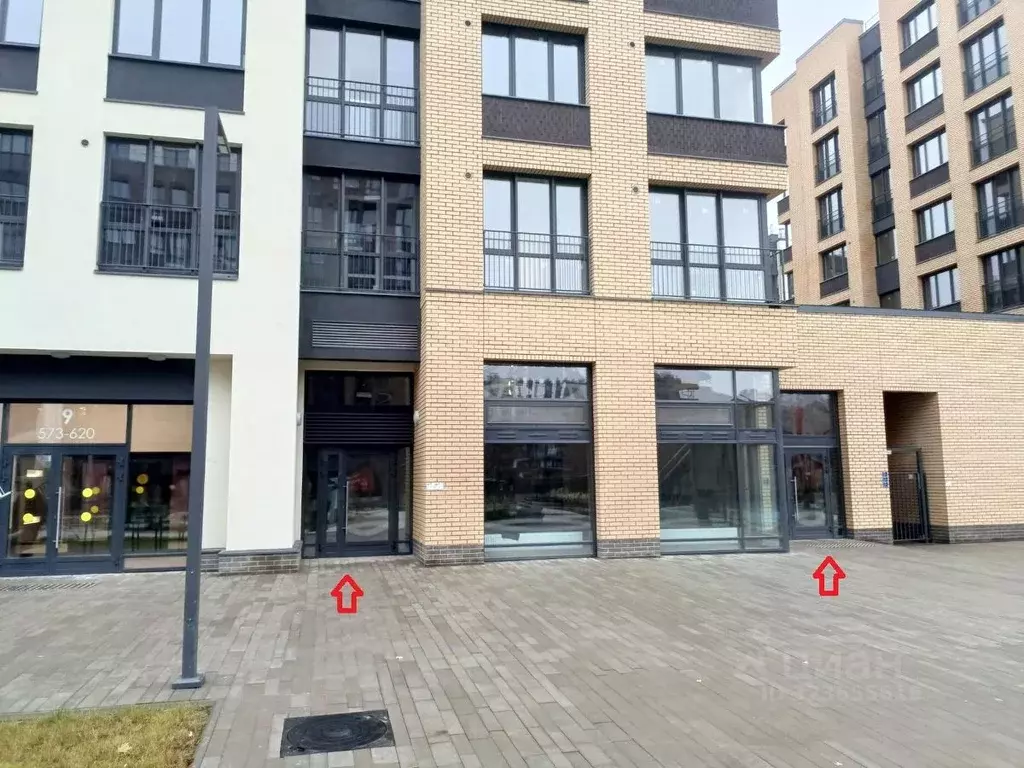 Помещение свободного назначения в Ленинградская область, Ломоносовский ... - Фото 2