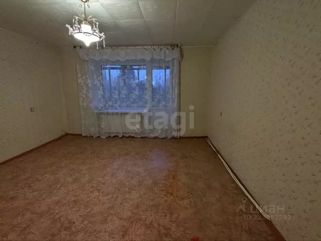 1-к кв. Владимирская область, Муром д. Пестенькино, ул. Центральная, ... - Фото 1