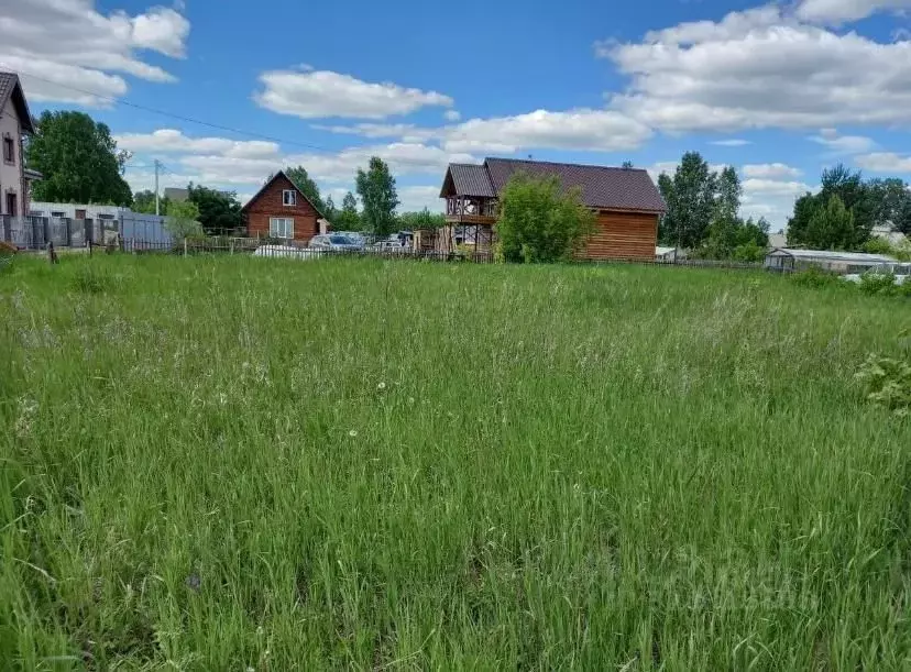 Участок в Новосибирская область, Коченевский район, Витязь садовое ... - Фото 1