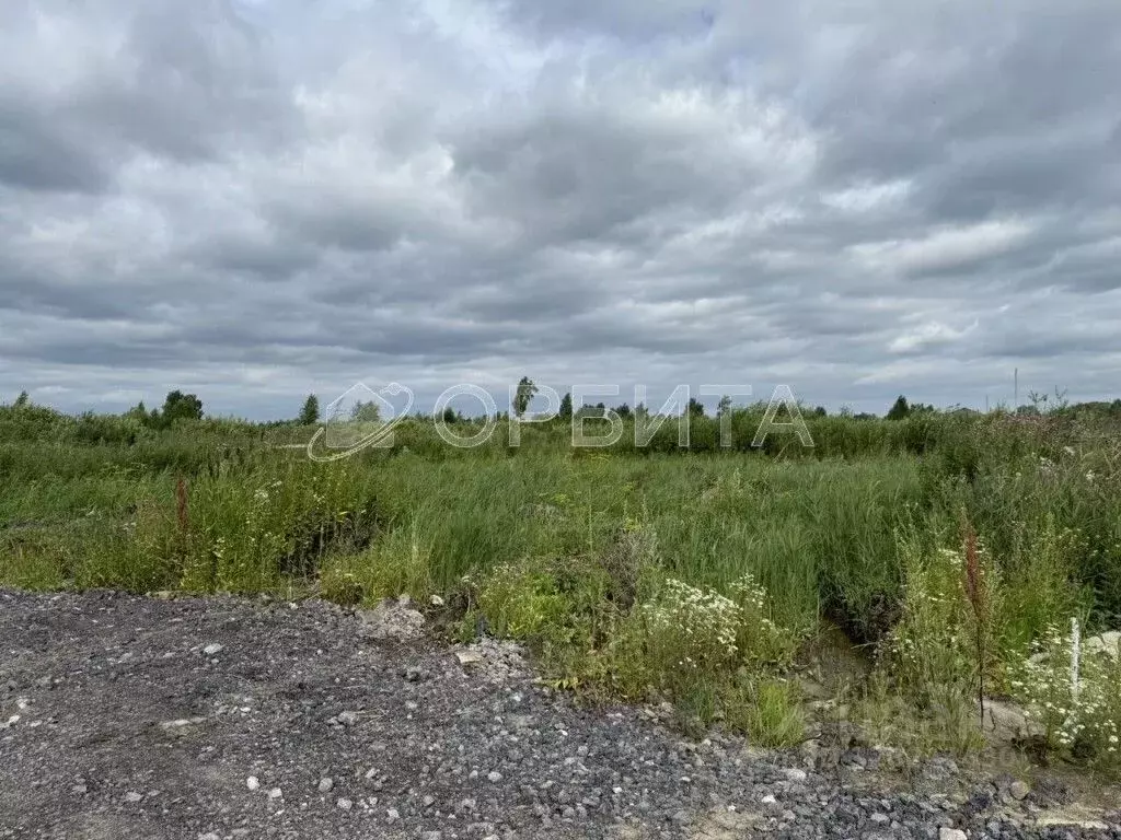 Участок в Тюменская область, Тюмень Садовое товарищество Липовый ... - Фото 2