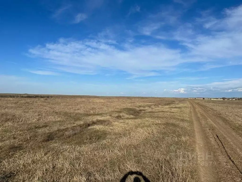 Купить Сено В Крыму Белогорский