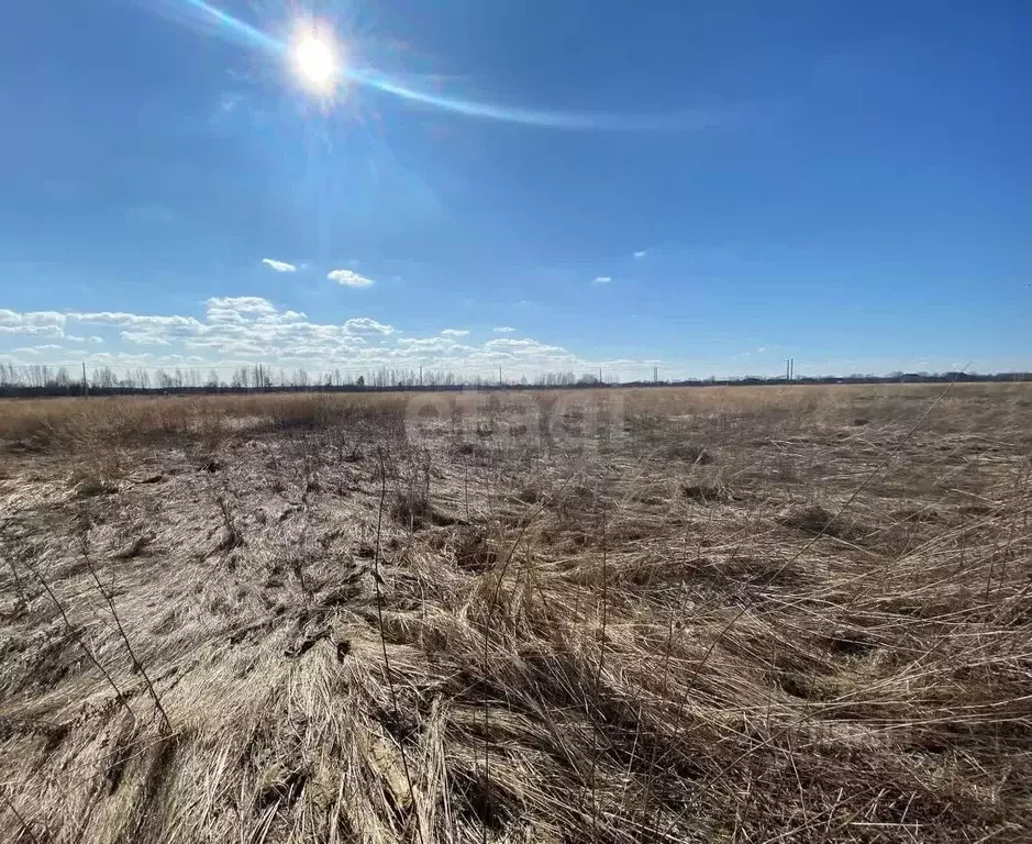 Участок в Костромская область, Кострома ул. Владимира Люсина (8.0 ... - Фото 1