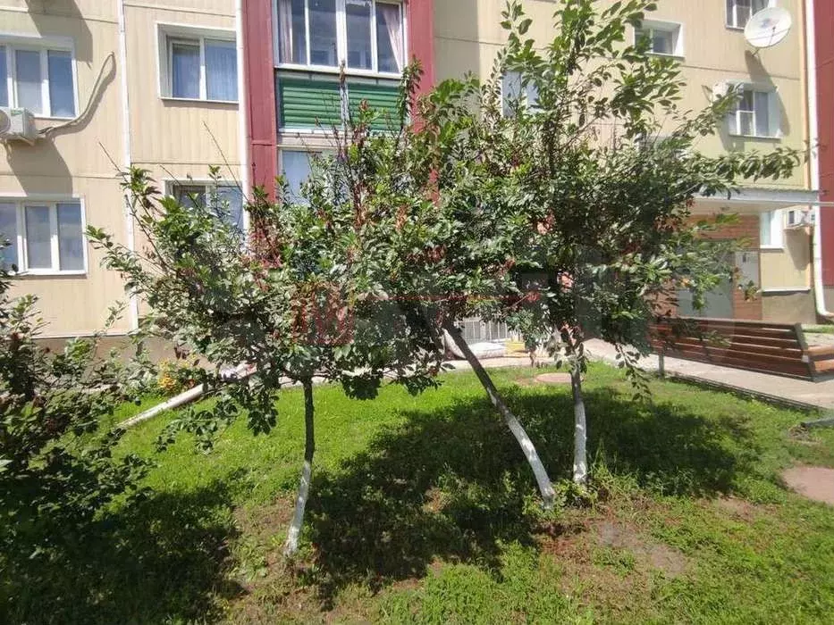 2-к. квартира, 55 м, 3/5 эт. - Фото 1