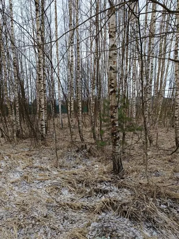 Участок в Московская область, Павлово-Посадский городской округ, д. ... - Фото 0