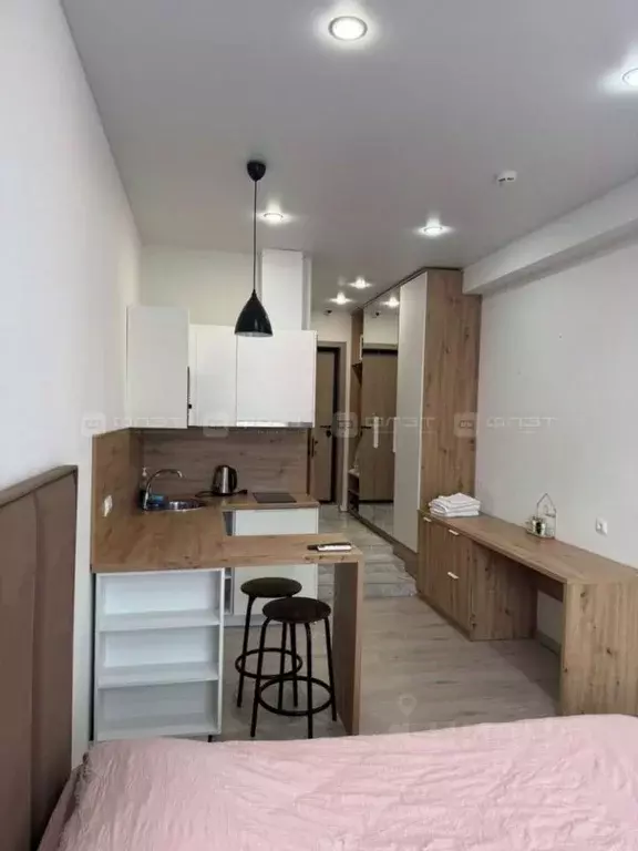 1-к кв. Татарстан, Казань ул. Толстого, 41к2 (21.4 м) - Фото 2
