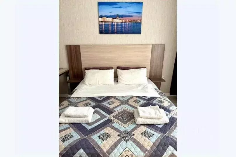 1-к кв. Санкт-Петербург Пулковское ш., 14с6 (26.0 м) - Фото 2