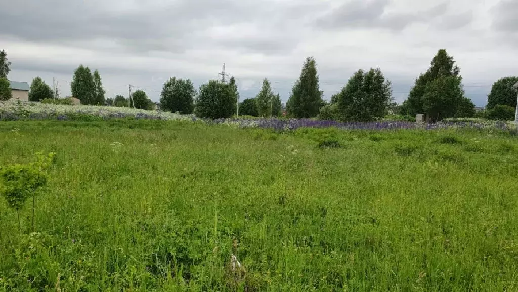 Продается участок в г. Клин - Фото 1