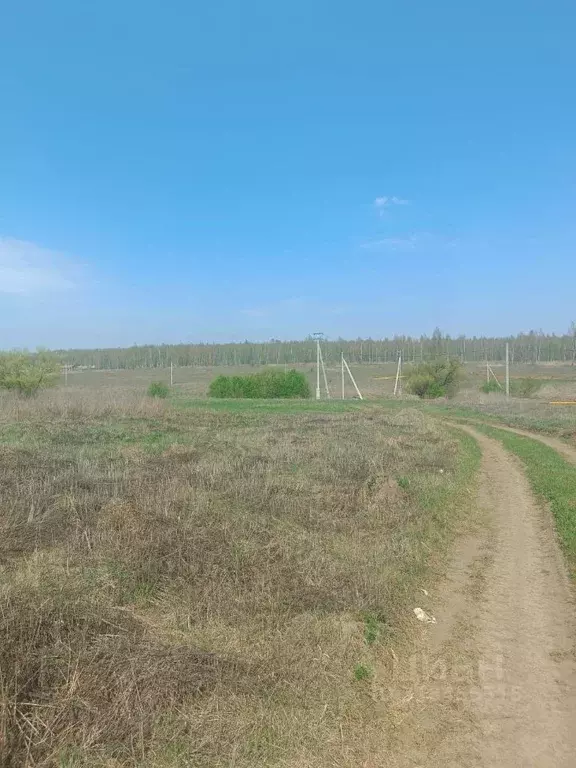 Участок в Тульская область, Тула городской округ, д. Частинские ... - Фото 1