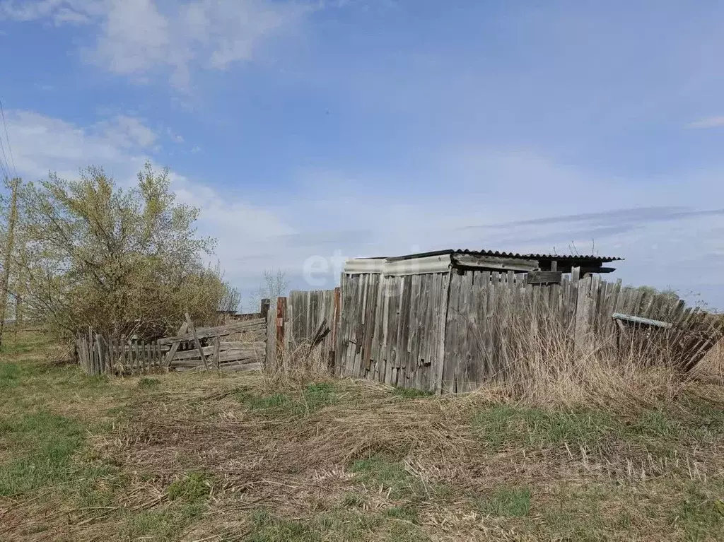 Участок в Курганская область, Шадринский муниципальный округ, д. ... - Фото 1